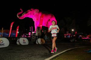 BIB: 
                            <button type="button" onclick="openModal(26534381)" class="btn btn-primary btn-sm float-right btn-popup" data-toggle="modal" data-target=".modal-high-quality">
                        <i class="fas fa-shopping-cart"></i> Add to Cart
                    </button>
                                            <button type="button" onclick="isThisMe(26534381, true)" class="btn btn-success btn-sm float-right btn-popup btn-isme hidden" data-toggle="tooltip" data-placement="bottom" title="นี่คือรูปของคุณใช่ไหม คลิกที่นี่เพื่อเอาเข้าอัลบั้ม">
                        <i class="fas fa-plus"></i> Add to album
                    </button>
                    <button type="button" onclick="isThisMe(26534381, false)" class="btn btn-warning btn-sm float-right btn-popup btn-isnotme hidden">
                        <i class="fas fa-ban"></i> Remove from album
                    </button>